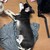 まろにー4375日目