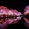２通りの夜桜　＠鹿野城跡