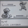 攻略ではなく冒険 ポケモンクリスタルプレイ日記3 しらんぷり ユキシロ日記 攻略ではなく冒険 ポケモンクリスタルプレイ日記3 しらんぷり ユキシロ日記