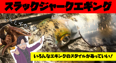 【10月4週】エギングでアオリイカ以外が釣れたって良いっ！！【釣果報告】