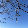 Photo No.2195 / 今日は少し走った