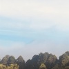 今朝の景色