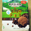 不二家 カントリーマアム 山の塩チョコ