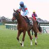 ＯＰ入りを決めた前走の勝ち方は良かったも、今回は経験豊富な馬が待ち構える昇級戦。上昇度は魅力で力を出せる状態に仕上がったも、ここは１つ壁にぶち当たることになりそう。現状の力でどこまで通用するのかを冷静に見守りたい。★シェダル