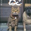 岩合光昭写真展「ねこ」