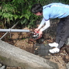 6月4日（土）水越峠から萌黄へ