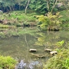 不老ヶ池（岐阜県養老）