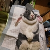 明日で終わり♪