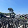 今日も暑いし揺れるし　