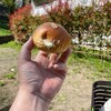 220409（sat)