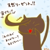 占ってみた20241211