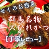 フレッセイのお惣菜『群馬名物 ソースひれかつ丼』は厚衣のソース後がけタイプでした【丁寧レビュー】