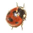 隠居の管理室　【じゃがいも亭国】