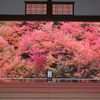 紅葉ツーリング　ドウダンツツジの安国寺からもみじの高蔵寺へ　前編