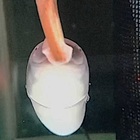 ジムナーカス? ギムナルクス? 淡水オタクに馴染むなカス!! 飼うなら学びは義務なるクス!! 何と呼ぼうがエぇんジャオっサン!!の話