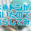 【海外限定】木魚ドンを鳴らしてみた【ハンギョドングッズ】