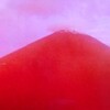 富士のうた(5/5)
