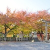 六孫王神社の紅葉。見頃や現在の状況。