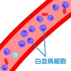 白血病に関する雑学