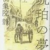「やってみなはれ」は甘くない：読書録「琥珀の夢」