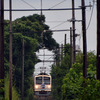 近江鉄道 2024　7/10-11