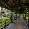 京都・嵯峨野 - 夏の大覚寺