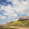 大晦日につき今年のまとめ