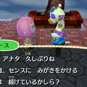 グレース カテゴリーの記事一覧 とびだせ どうぶつの森 ゆらゆら村のプレイ日記 グレース カテゴリーの記事一覧 とびだせ どうぶつの森 ゆらゆら村のプレイ日記