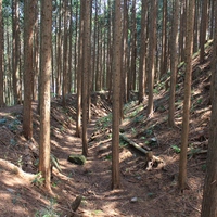 古宮城　（愛知県　新城市）3