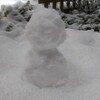 雪が降ってウキウキする