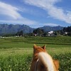 梅雨明けかぁ…