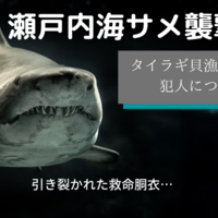 世界最悪のサメ事故ー7つの海の悲劇ー クマの動物研究 世界最悪のサメ事故ー7つの海の悲劇ー クマの動物研究