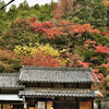 薬樹山 延命寺の紅葉2021 ～ Ⅳ