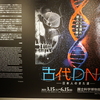 4月28日～5月4日(国立科学博物館「古代DNA展」、武蔵小金井・国分寺、世田谷文学館「士郎正宗の世界展」、博物館めぐり（近代医科学記念館、国立映画アーカイブ、新宿歴史博物館）、東府中・恋ヶ窪