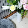 お花