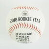 【日ハム】2018年北海道日本ハムファイターズスタッフ・選手一覧