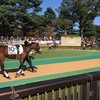 二次募集馬馬名決定