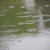 何ということはない洗濯物干しやゴミ出しも、快眠に役立っているかもしれない。