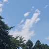 動物のように見える雲　ｉｎ　小久喜久伊豆神社付近