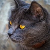 「ただ在る」を感じ、流れに身を任せる