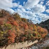 一人で「ななの湯」へ、そうしたら紅葉が美しかったけど