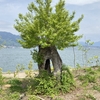 笑って生きる