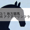 2023/3/1 地方競馬 川崎競馬 9R アクアマリンフラワー賞
