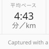 冷たい雨の中での30km走