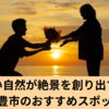 フォトスポット満載: 三豊市の魅力と特色