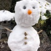 雪だるま作ろ～♪