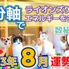 【数秘⑦の方へ】2023年8月運勢