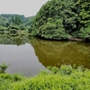 東谷堰（千葉県長柄）