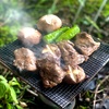 雨だけどデイキャンプ・雨だからデイキャンプ