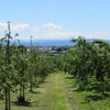 秋田県縦断 湯巡り一人旅 ⑦ 金峰山温泉「ときめき交流センター ゆっぷる」